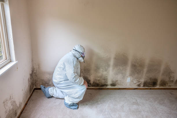 Best HVAC Mold Inspection and Cleaning  in Oskaloosa, IA